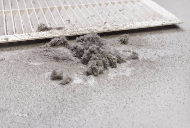 Best Commercial Air Duct Cleaning  in Collinsville, AL