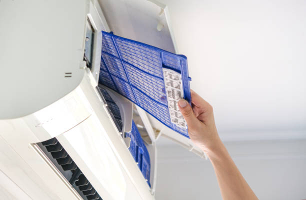 Air Duct Mold Removal in Collinsville, AL