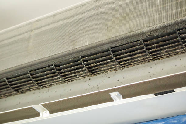 Best Air Duct Cleaning Near Me  in Collinsville, AL